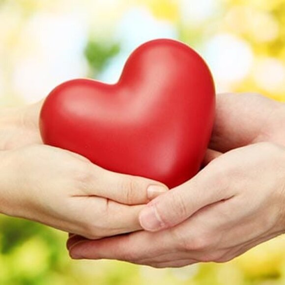 Closet Bookmark Boho Fun Trendy Classic Eclectic Finds - Picture 4 of 7